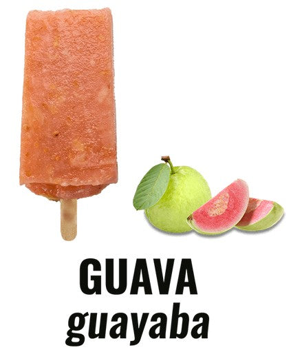 Guava / Guayaba Paleta