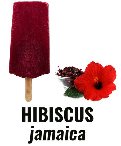 Hibiscus / Jamaica Paleta